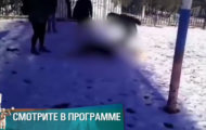 Фото Мужское / Женское 12.12.2018 на M-Z.TV