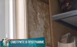 Общежитие «Ч» – Мужское / Женское за 15.05.2019