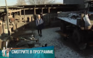 Фото Мужское / Женское 17.07.2019 на M-Z.TV