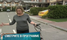 Концлагерь для собак – Мужское / Женское за 19.09.2018