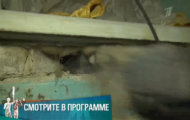 Фото Мужское / Женское 22.01.2018 на M-Z.TV