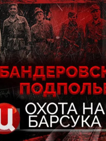 Передачи и актуальные ток-шоу онлайн