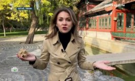 Итоги недели за 05.11.2023