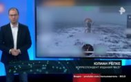 Фото Самые шокирующие гипотезы от 12.12.2023 на M-Z.TV