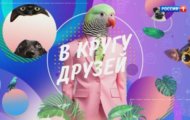 Фото В кругу друзей от 23.12.2023 на M-Z.TV