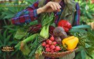 Фото Тайны Чапман от 08.02.2024 на M-Z.TV