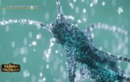 Фото Тайны Чапман от 10.06.2024 на M-Z.TV