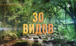 Тайны Чапман за 19.06.2024