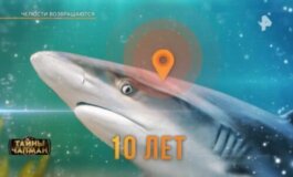 Тайны Чапман за 25.07.2024
