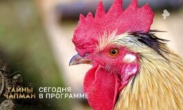 Тайны Чапман за 06.08.2024